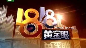 浙江6台直播在线观看,实时捕捉精彩瞬间，尽享视听盛宴  第1张